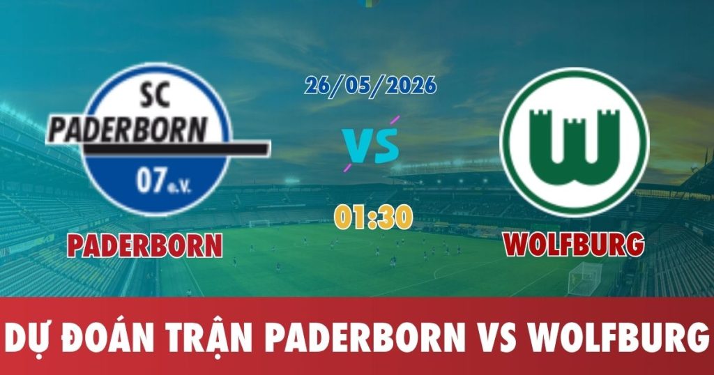 Dự Đoán Trận Đấu Giữa Paderborn vs Wolfsburg 26.05.2026 01:30