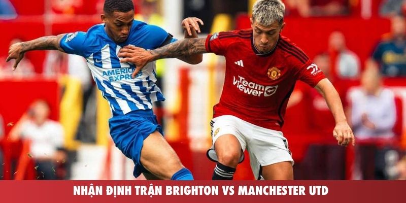 Nhận định trận Brighton vs Manchester Utd